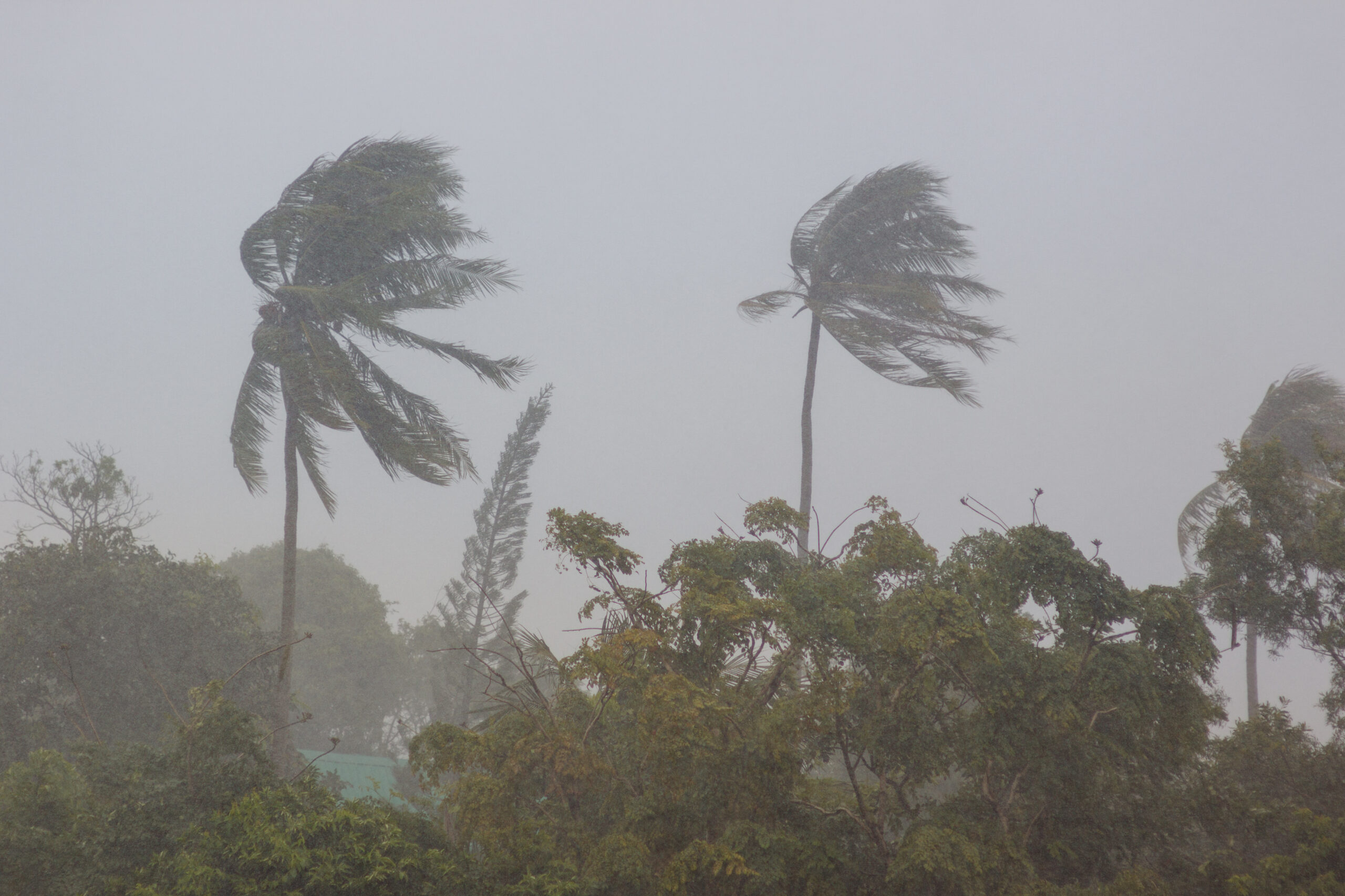 What Is The Difference Between Average Wind And Wind Gusts 