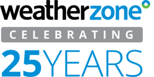 25 Years Logo